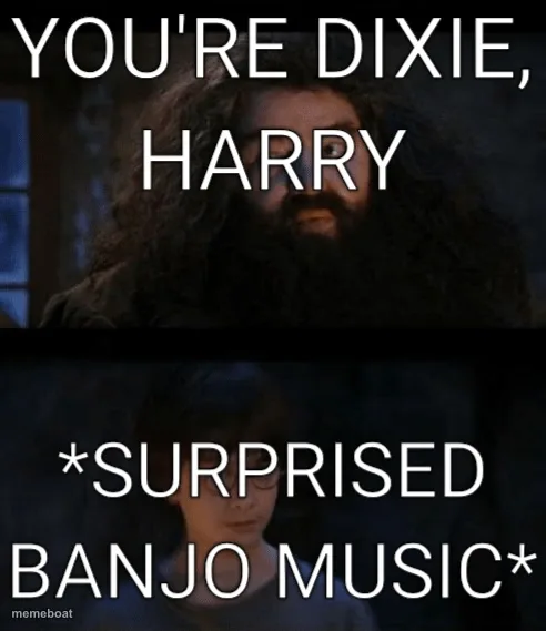 you are a wizard harry meme created by the community