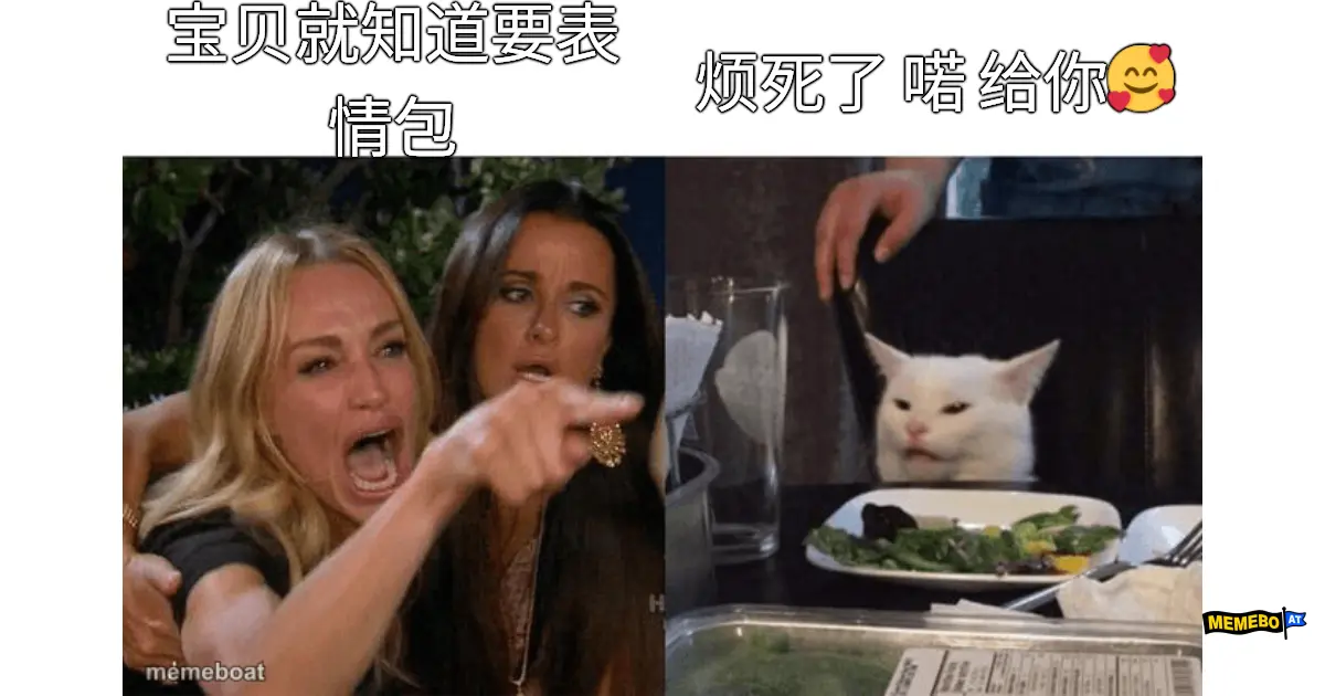 Woman Yelling At Cat meme created by the community