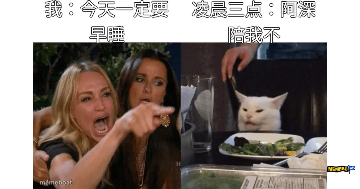 Woman Yelling At Cat meme created by the community