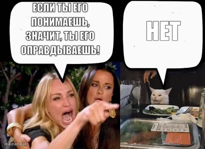 Woman Yelling at Cat meme created by the community