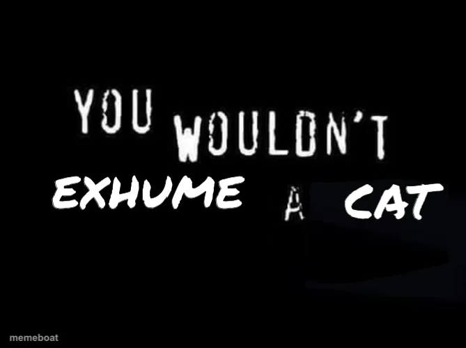 You Wouldn't Download A Car meme created by the community