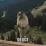 Yelling Marmot meme created by the community