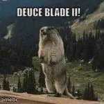 Yelling Marmot meme created by the community