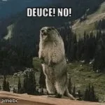 Yelling Marmot meme created by the community