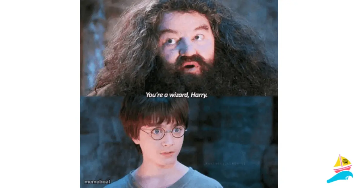 You're a wizard Harry meme