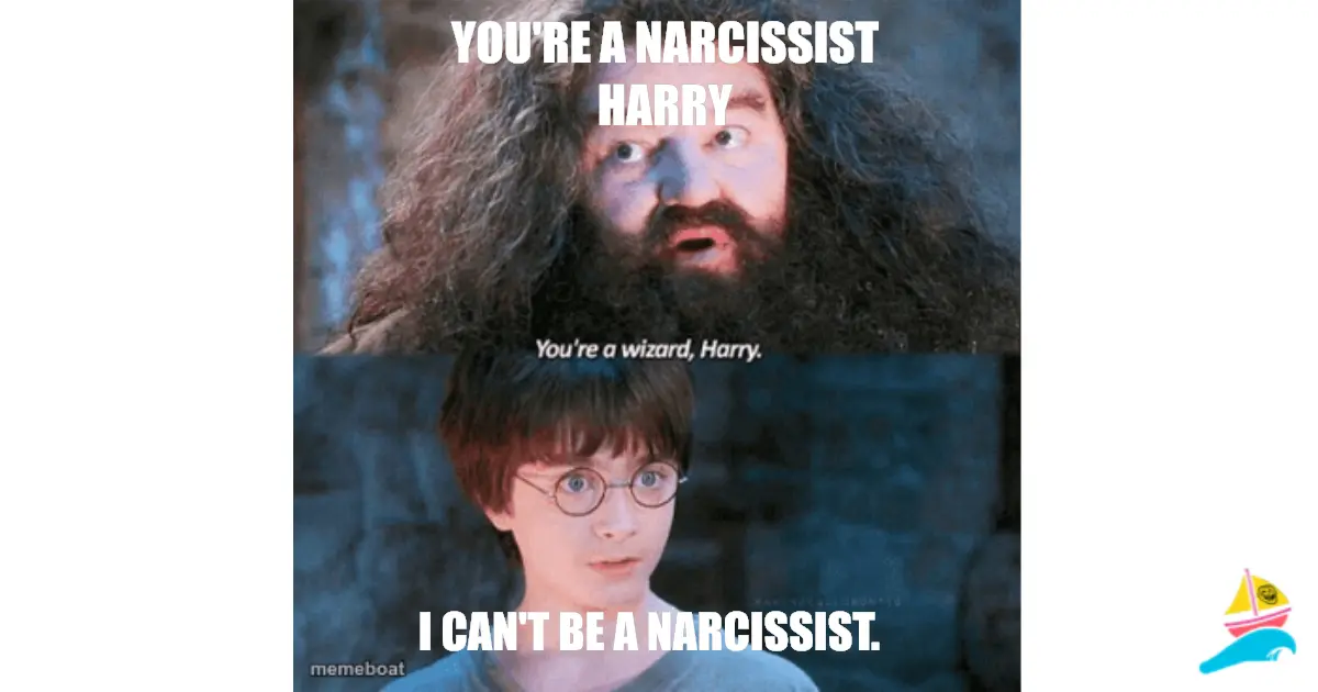 YOU'RE A NARCISSIST HARRY