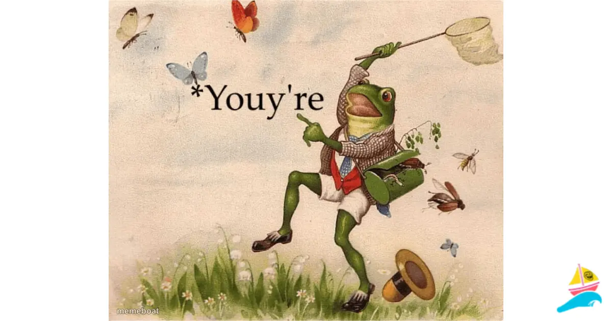 *Youy're meme